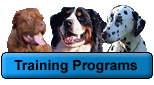 training