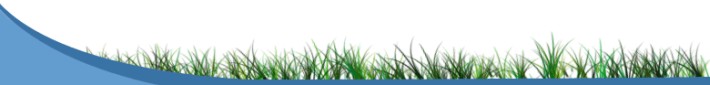 bottom2