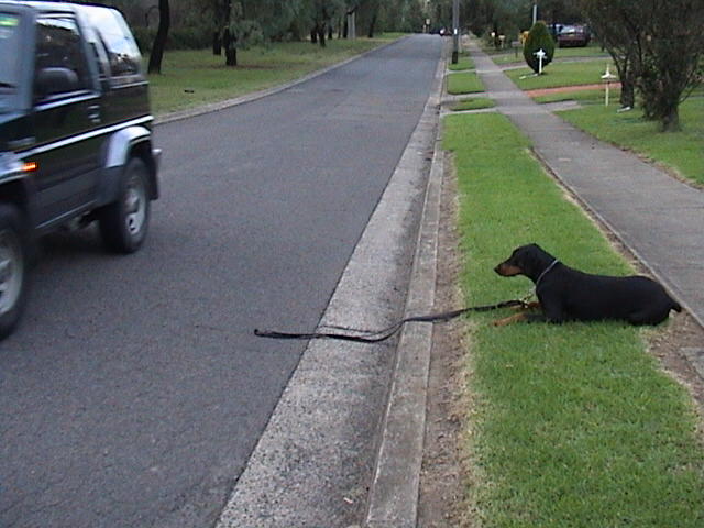 road