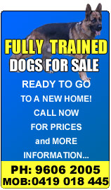 forsale2